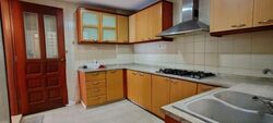Carissa Park Condominium (D17), Condominium #556711851
